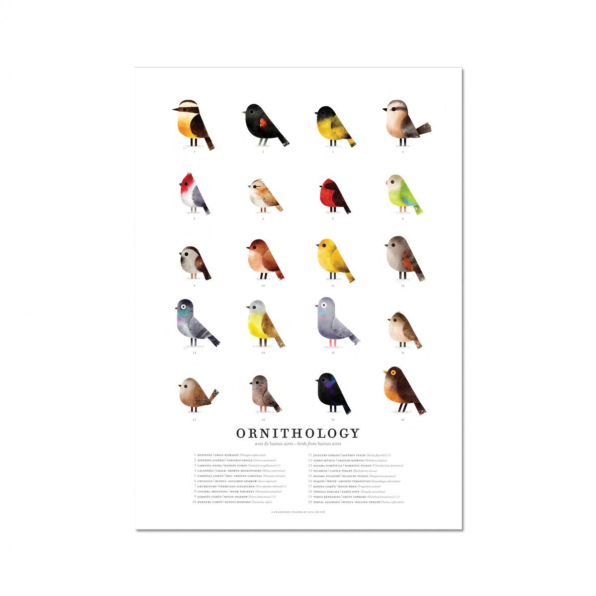 ORNITHOLOGY