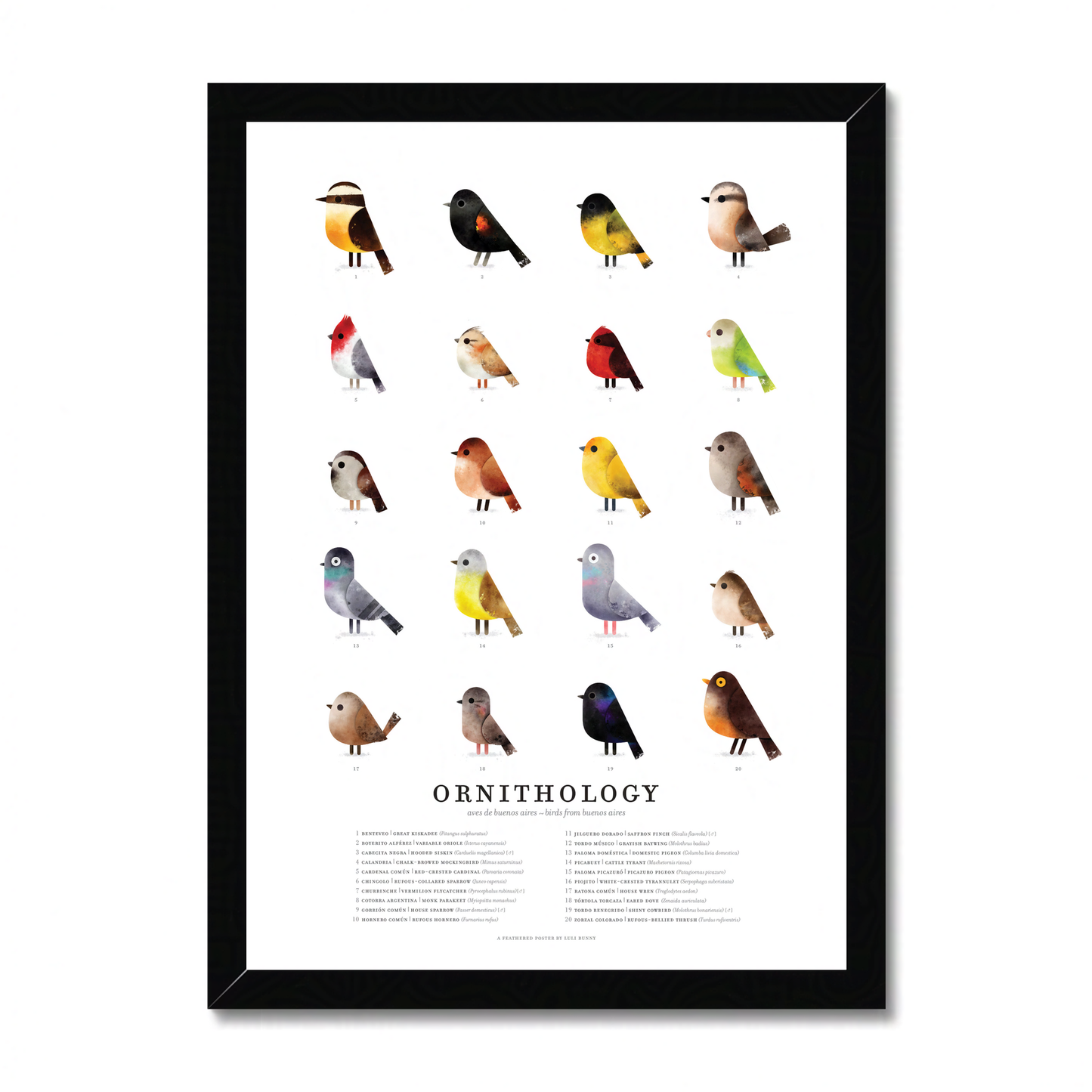 ORNITHOLOGY