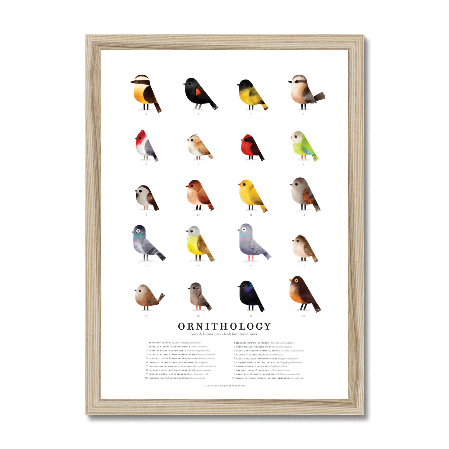 ORNITHOLOGY