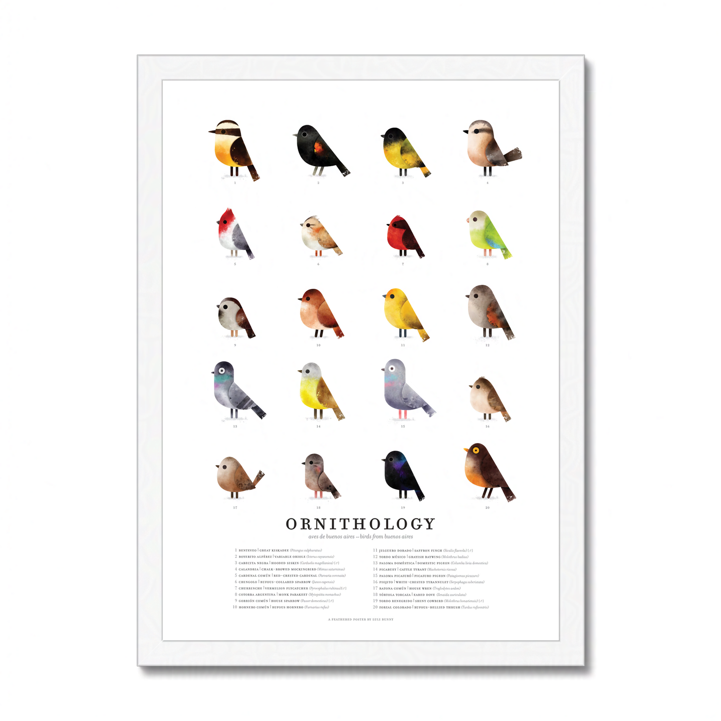 ORNITHOLOGY